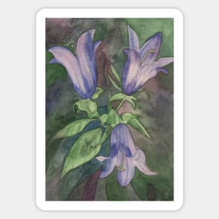 Watercolour painting of purple blue harebells Sticker